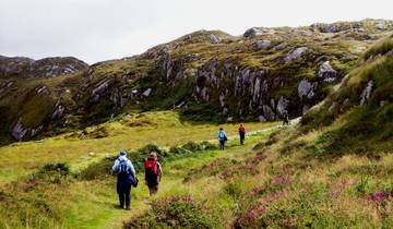 Kerry Way, 12-day Self Guided Walking Tour