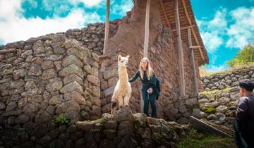 Circuito Excursión al Valle Sagrado con Maras Moray