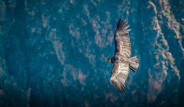 Chonta Condor-tour vanuit Cusco – 1-daagse ervaring bij het Condor-uitkijkpunt-rondreis