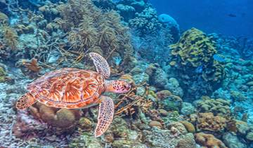 8 jours à Bonaire, dans les Caraïbes