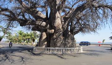 Zambia 10-Day Safari Tour - Victoria Falls, South Luangwa & Lower Zambezi