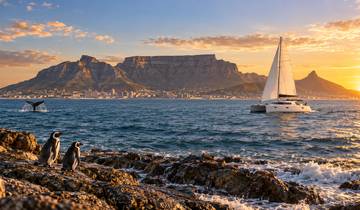 Wildlife en kustvakantie in Kaapstad – 7 dagen-rondreis