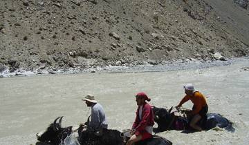 Yak Safari Trip in Shimshal Valley Tour