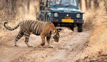 Inde et Sri Lanka : patrimoine, faune sauvage et paradis circuit