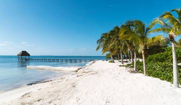 7-Day Paradise Islands Experience: Chichen Itza, Cozumel & Holbox Bioluminescence