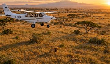 Safari de luxe économique de 4 jours dans le Serengeti avec transfert en avion, en Tanzanie circuit