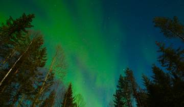 Arctic Road Trip: Into the Wild of Lapland and Tromsø
