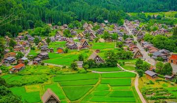 Circuito Excursión a los Alpes japoneses