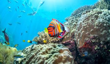 6-Day Cairns & Great Barrier Reef Adventure Tour