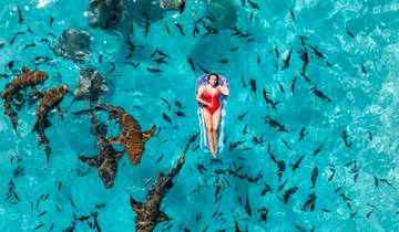 Aventure de 6 jours aux Maldives et séjour en complexe hôtelier : requins-nourrices, raies, plongée avec tuba, bancs de sable et complexes hôteliers insulaires