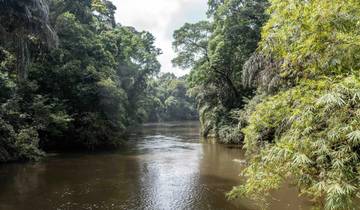 Aventura por la fauna y la selva tropical de Sierra Leona: 9 días de naturaleza y descubrimientos
