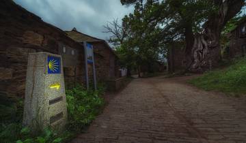 Camino de Santiago - Way of St. James - French Way - From Sarria to Santiago de Compostela 9 días Tour