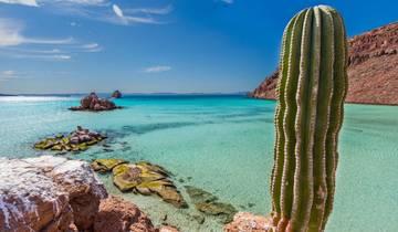Baja Unplugged : une escapade insulaire sur la mer de Cortez circuit
