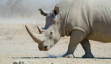 Namibia Desert & Etosha Wildlife Safari - 5 Days / 4 Nights Tour