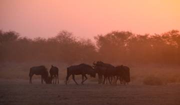 Private Namibia Cultures, Desert & Wildlife Safari 10 Days and 9 Nights Tour