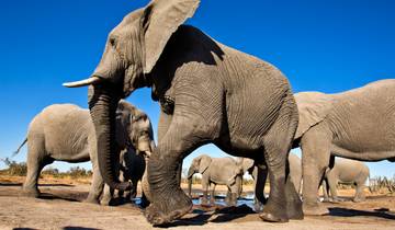 Botswana Untamed: Chobe, Makgadikgadi Pans, Okavango Delta & Victoria Falls - 13 Days Tour