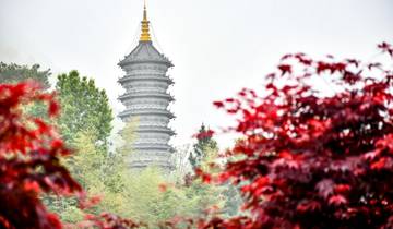 Les saveurs du Japon en 5 jours : circuit gastronomique à Tokyo, Kyoto et Osaka
