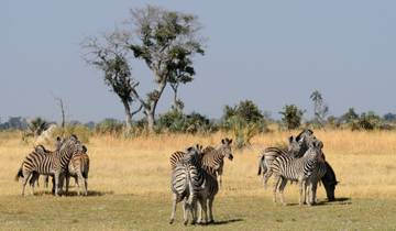 10 Days in Southern Africa, incl. Okavango Delta and Victoria Falls