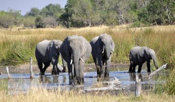 10 Days in Southern Africa, incl. Okavango Delta and Victoria Falls