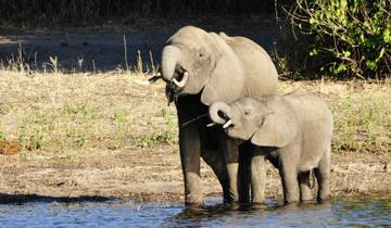 10 Days in Southern Africa, incl. Okavango Delta and Victoria Falls