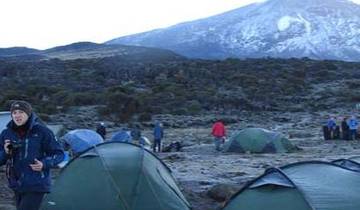 5 jours - Safari de migration des bêtes sauvages - Saison de mise bas - (décembre - mars)