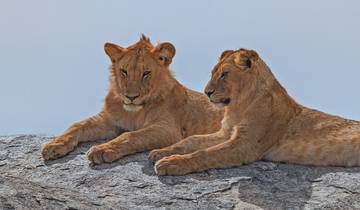 Wildlife safari Tanzania, strand Zanzibar en Victoria Watervallen-rondreis