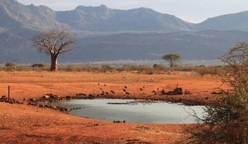 Tansania Wildlife Safari Rundreise