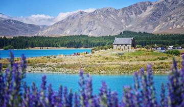 Walking in New Zealand