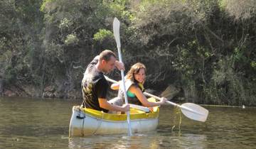 3 Day South Africa Itinerary, incl. Garden Route and Cape Town