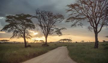 Du Cap au Serengeti : Déserts et nature sauvage