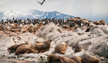 21 Days in Antarctica, incl. South Georgia and Falkland Islands