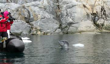 Antarctica Springs to Life (Ocean Victory)