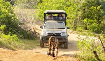 Sri Lanka Real Food Adventure
