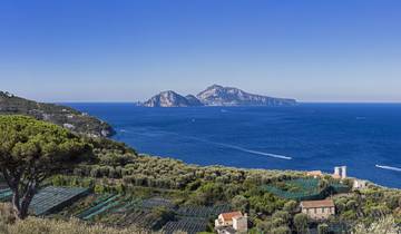 7 Day Amalfi Coast Itinerary, incl. Sorrento and Capri