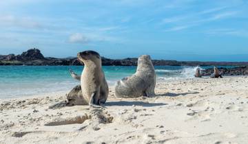 7 Days in Galapagos Islands, incl. San Cristóbal and Santa Cruz