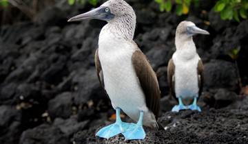 7 Days in Galapagos Islands, incl. San Cristóbal and Santa Cruz