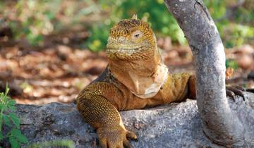 7 Days in Galapagos Islands, incl. San Cristóbal and Santa Cruz