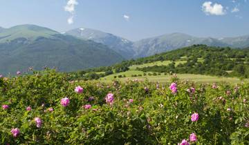 18 Days in Eastern Europe, incl. Budapest and Istanbul