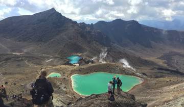 Île nord de la Nouvelle-Zélande