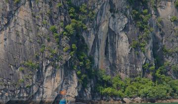 Crucero por la bahía de Halong 3D/2N