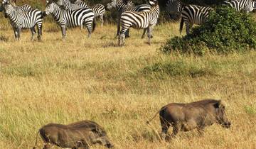 Kenia & Tanzania 4WD Safari Avontuur 12D/11N-rondreis