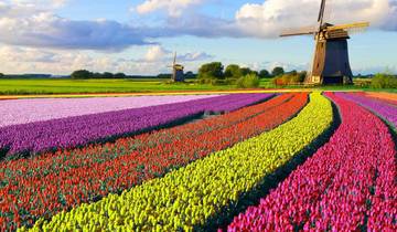 7 Day Netherlands Itinerary, incl. Amsterdam and Rotterdam