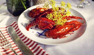 Highlights of Scandinavia