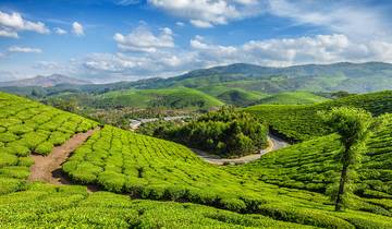 Circuits de luxe vers Sud de l'Inde