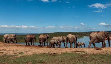 10 day Cape & Garden Route Combo - optional accommodation