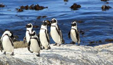 10 day Cape & Garden Route Combo - optional accommodation