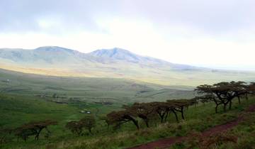 Kilimandjaro Marangu Summit and Camping Safari