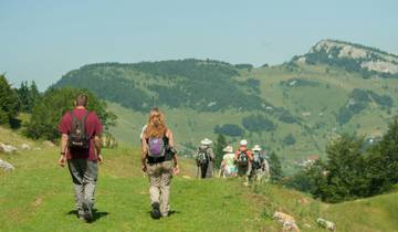 Carpathian Walking & Bears
