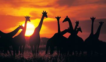 14 Day Zimbabwe & Botswana Itinerary, incl. Victoria Falls and Okavango Delta