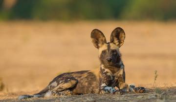 14 Day Zimbabwe & Botswana Itinerary, incl. Victoria Falls and Okavango Delta